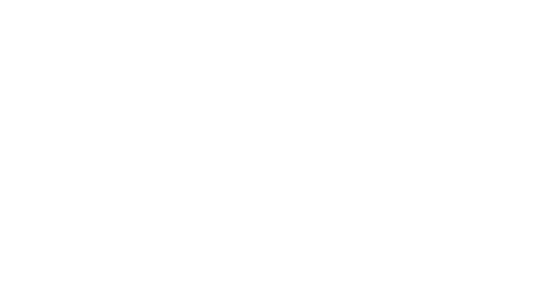 Animal Foundation