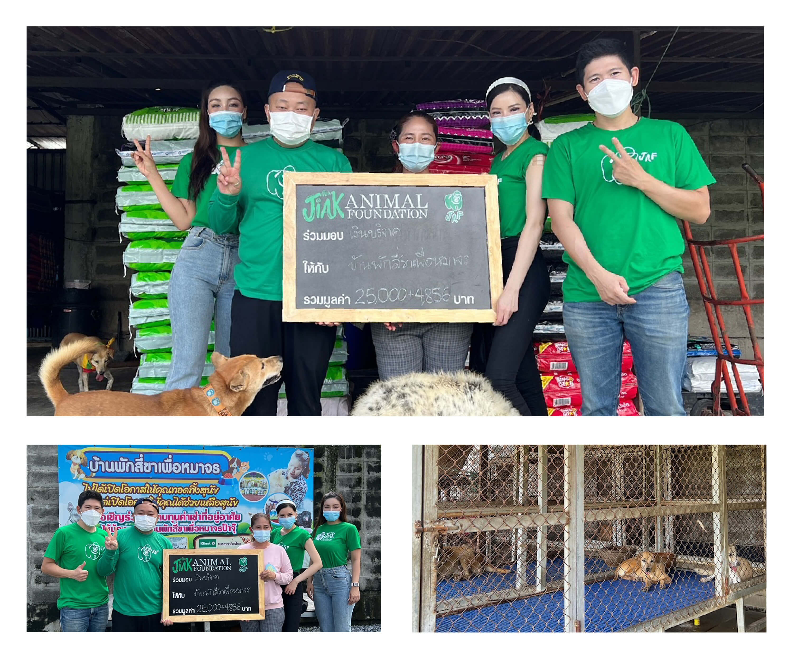 ป้าจุ๊ บ้านพักสีขาเพื่อหมาจร จังหวัดปทุมธานี