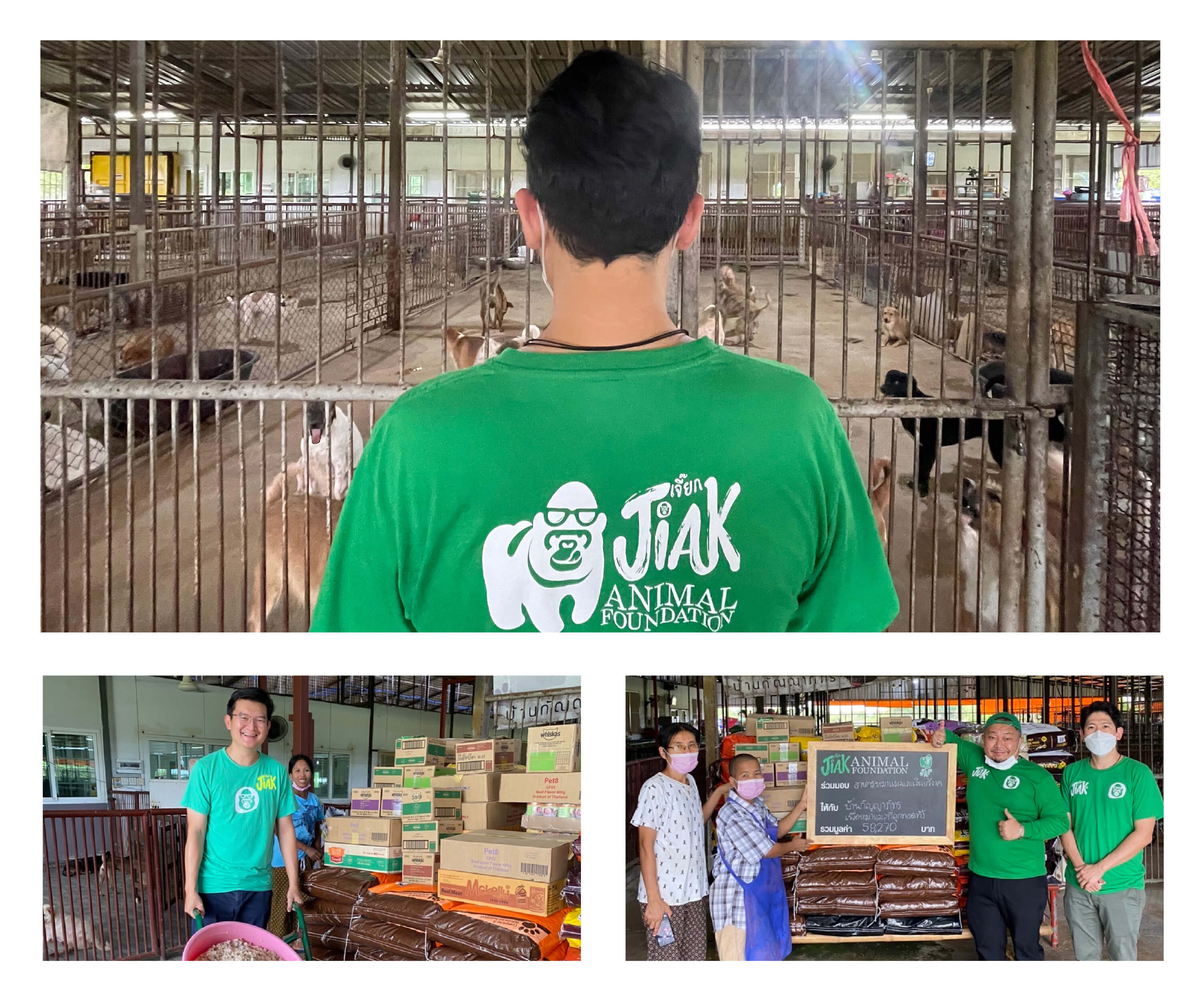 บ้านกัญญาภัทรเพื่อหมาแมวที่ถูกทอดทิ้ง